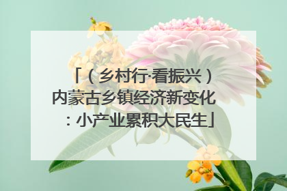（乡村行·看振兴）内蒙古乡镇经济新变化：小产业累积大民生