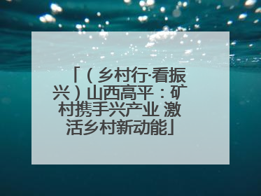 （乡村行·看振兴）山西高平：矿村携手兴产业 激活乡村新动能