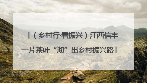 （乡村行·看振兴）江西信丰一片茶叶“沏”出乡村振兴路