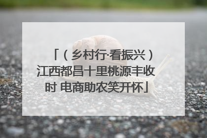 （乡村行·看振兴）江西都昌十里桃源丰收时 电商助农笑开怀