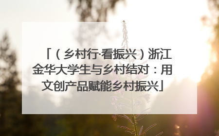 （乡村行·看振兴）浙江金华大学生与乡村结对：用文创产品赋能乡村振兴