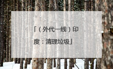 （外代一线）印度：清理垃圾