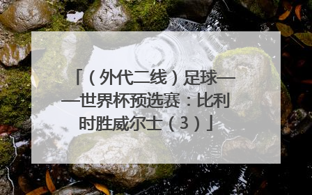 （外代二线）足球——世界杯预选赛：比利时胜威尔士（3）