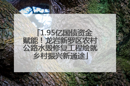 1.95亿国债资金赋能！龙岩新罗区农村公路水毁修复工程绘就乡村振兴新通途
