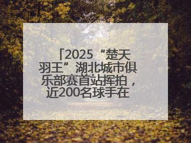 2025“楚天羽王”湖北城市俱乐部赛首站挥拍，近200名球手在黄石同场竞技