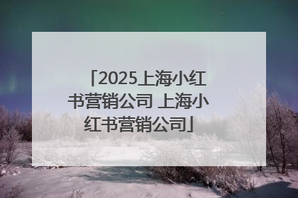 2025上海小红书营销公司 上海小红书营销公司