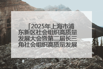 2025年上海市浦东新区社会组织高质量发展大会暨第二届长三角社会组织高质量发展峰会成功举办