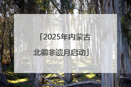 2025年内蒙古北疆非遗月启动