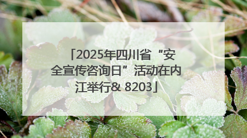 2025年四川省“安全宣传咨询日”活动在内江举行& 8203