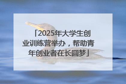 2025年大学生创业训练营举办，帮助青年创业者在长圆梦