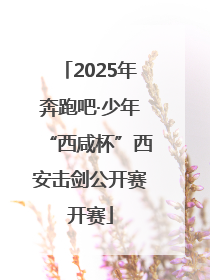 2025年奔跑吧·少年“西咸杯”西安击剑公开赛开赛