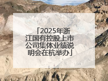 2025年浙江国有控股上市公司集体业绩说明会在杭举办
