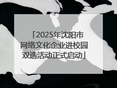 2025年沈阳市网络文化企业进校园双选活动正式启动
