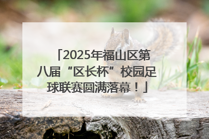 2025年福山区第八届“区长杯”校园足球联赛圆满落幕！