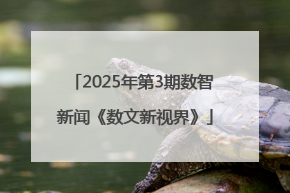 2025年第3期数智新闻《数文新视界》