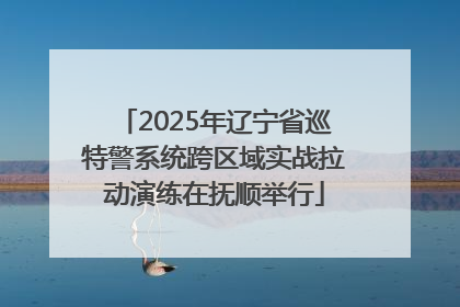 2025年辽宁省巡特警系统跨区域实战拉动演练在抚顺举行
