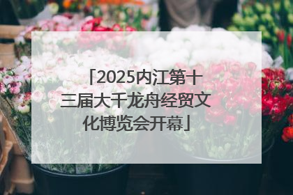 2025内江第十三届大千龙舟经贸文化博览会开幕