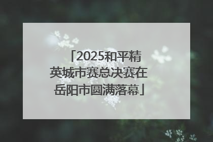 2025和平精英城市赛总决赛在岳阳市圆满落幕