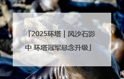 2025环塔｜风沙石影中 环塔冠军悬念升级