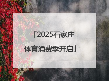 2025石家庄体育消费季开启
