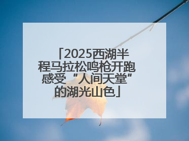 2025西湖半程马拉松鸣枪开跑感受“人间天堂”的湖光山色