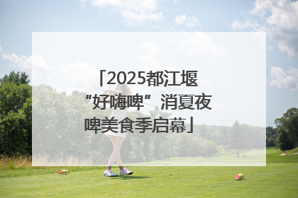 2025都江堰“好嗨啤”消夏夜啤美食季启幕