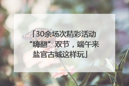 30余场次精彩活动“嗨翻”双节，端午来盐官古城这样玩
