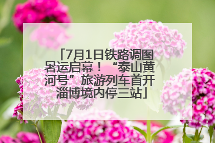 7月1日铁路调图暑运启幕！“泰山黄河号”旅游列车首开 淄博境内停三站