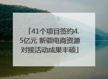 41个项目签约4.5亿元 新疆电商资源对接活动成果丰硕