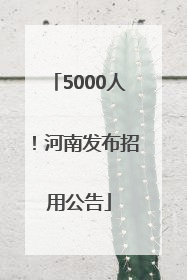 5000人！河南发布招用公告