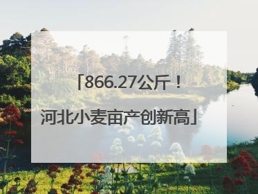 866.27公斤！河北小麦亩产创新高