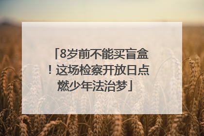 8岁前不能买盲盒！这场检察开放日点燃少年法治梦