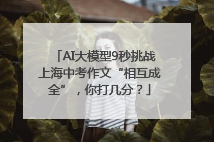 AI大模型9秒挑战上海中考作文“相互成全”，你打几分？