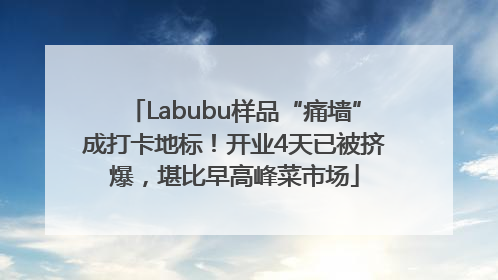 Labubu样品“痛墙”成打卡地标！开业4天已被挤爆，堪比早高峰菜市场