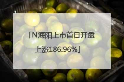 N海阳上市首日开盘上涨186.96%